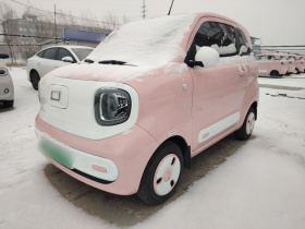 奔腾小马 2025款 222km 闪电马