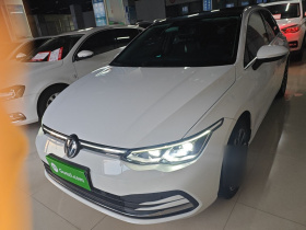 大众 高尔夫 2021款 280TSI DSG Pro