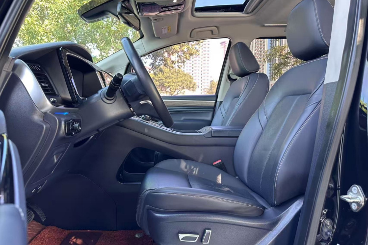 广汽传祺 传祺M8 2021款 大师系列 390T 尊贵版局部细节19