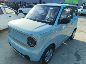 吉利银河 2024款 熊猫mini 200km 耐力熊