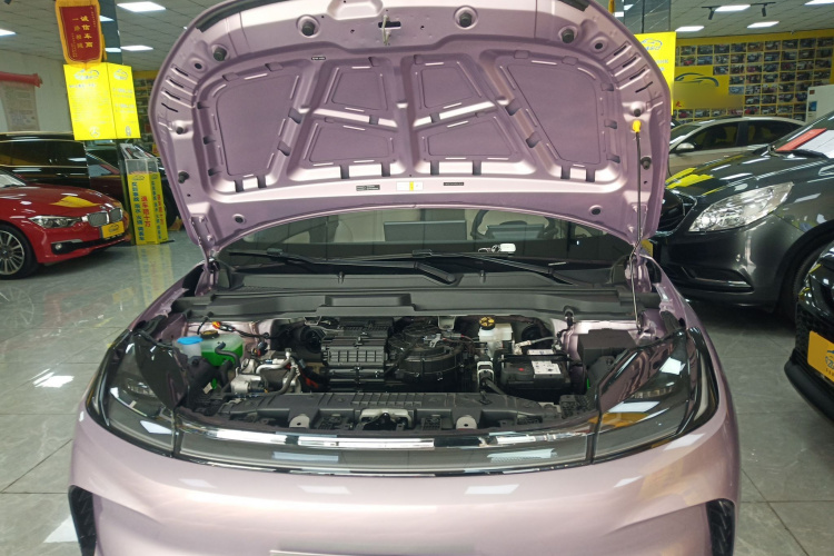 ARCFOX极狐 极狐T1 2025款 320 PRO机舱底盘24