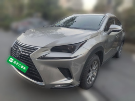 雷克萨斯NX 2020款 200 前驱 锋行版 国VI