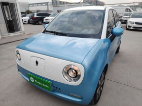 欧拉黑猫 2019款 351km 亲子版