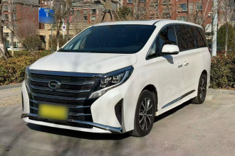 广汽传祺 传祺M8 2024款 领秀系列 390T 豪华版