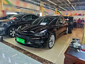 特斯拉 Model 3 2020款 改款 长续航后轮驱动版