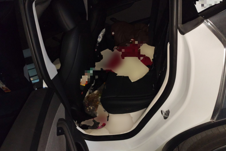 特斯拉 Model Y 2025款 后轮驱动版中控内饰21