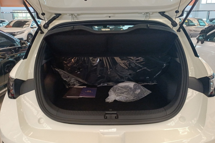 比亚迪 海豚 2025款 智驾版 420km 自由版机舱底盘23