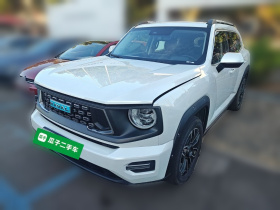 哈弗大狗 PLUS 新能源 2023款 DHT-PHEV 105km 潮电版Plus