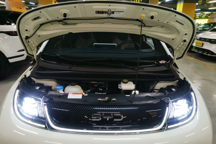 比亚迪 海豚 2024款 荣耀版 420km 时尚版机舱底盘24