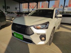 哈弗H6 Coupe 2019款 1.5T 自动两驱精英型 国VI