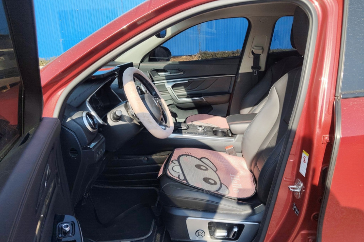 魏牌 VV5 2017款 2.0T 超豪型局部细节19