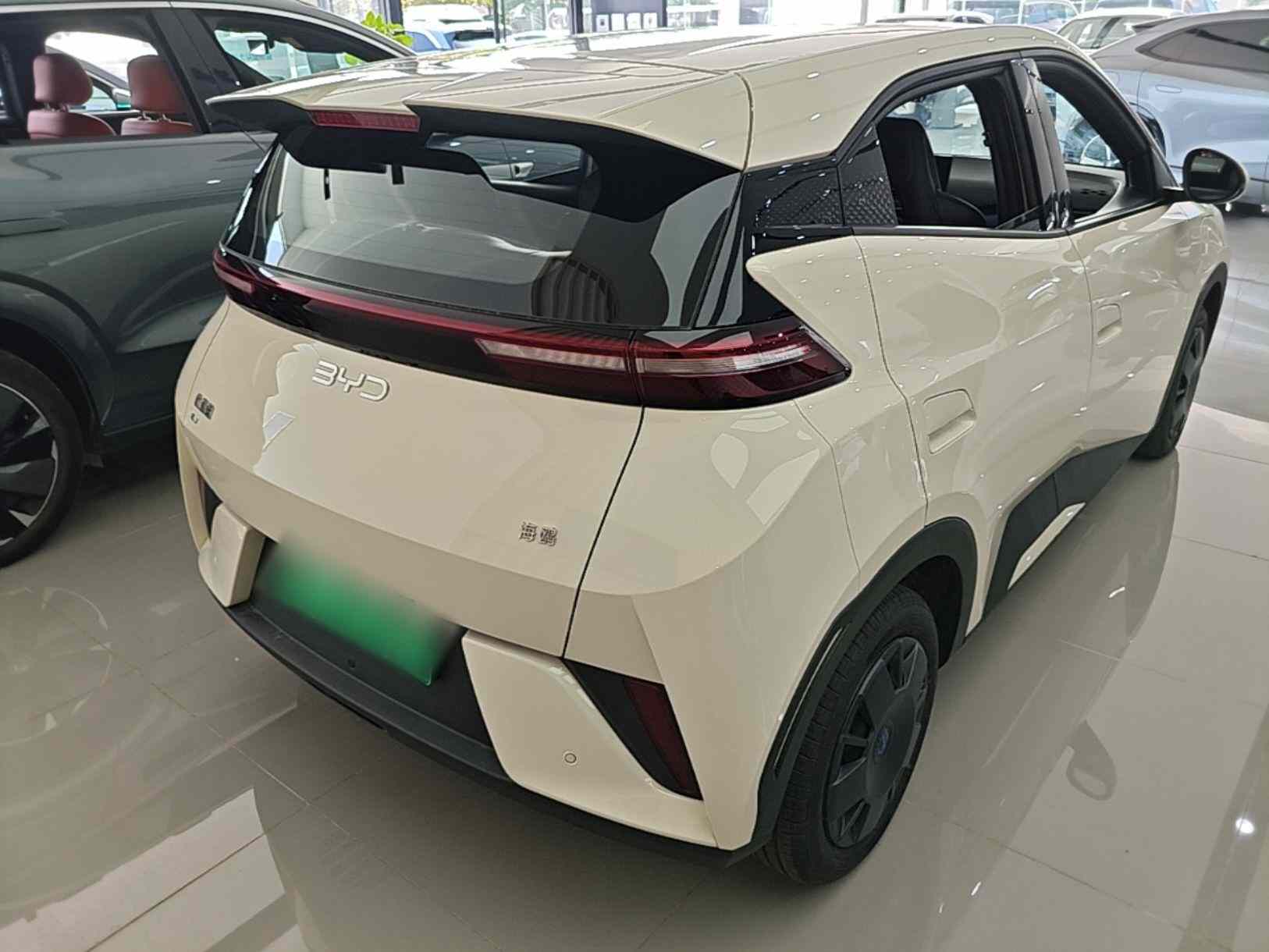 比亚迪 海鸥 2025款 智驾版 305km 活力版(4)