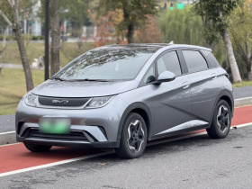 比亚迪 海豚 2021款 405km 时尚版