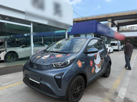 奇瑞 小蚂蚁 2024款 改款 青春版 321km 钟爱版 29.23kWh