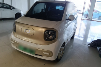 奔腾小马 2025款 222km 闪电马