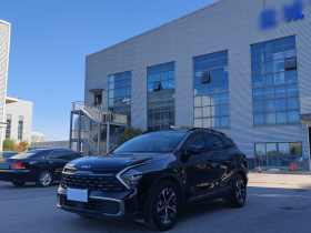 起亚 狮铂拓界 2023款 1.5T 两驱尊贵版