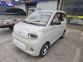 五菱汽车 宏光MINIEV 2024款 第三代 215km 青春版