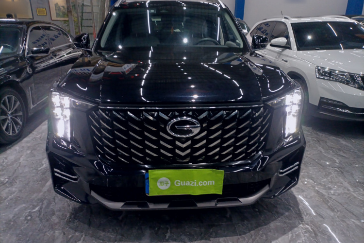 广汽传祺 传祺GS8 2022款 领航系列 2.0TGDI 两驱豪华智联版（七座）车身外观2