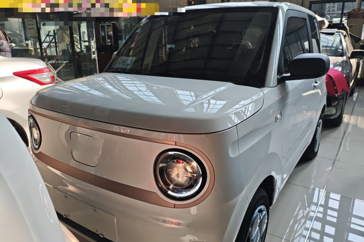 吉利银河 2023款 熊猫mini 200km 耐力熊车身外观2