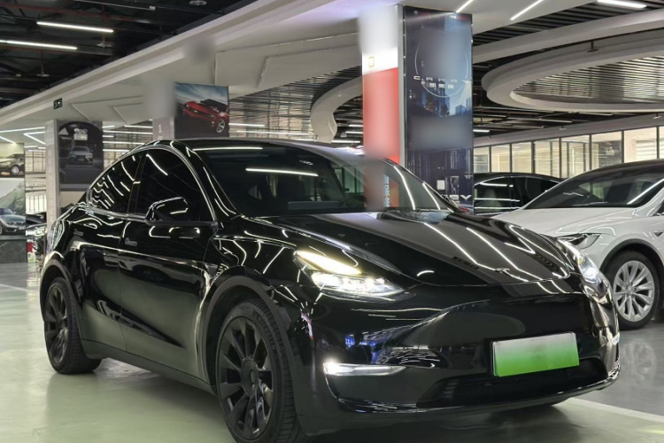 特斯拉 Model Y 2021款 标准续航后驱版车身外观6001