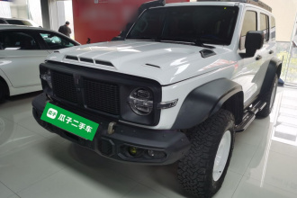 坦克300 2023款 2.0T 铁骑02