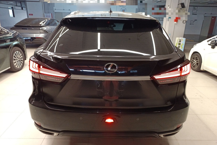 雷克萨斯RX 2021款 300 四驱特别版车身外观6