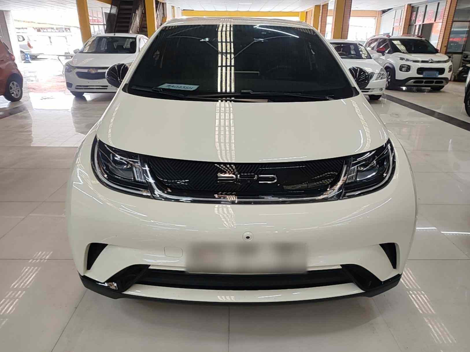 比亚迪 海豚 2023款 420km 自由版(1)