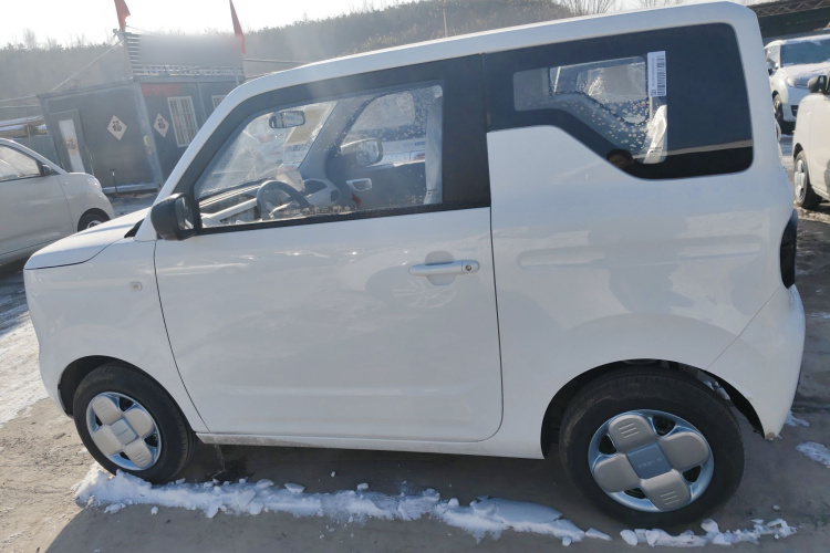 吉利银河 2024款 熊猫mini 200km 耐力熊车身外观6003