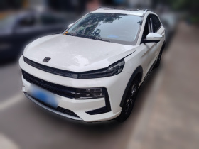 思皓QX 2021款 300T DCT尊享智联型