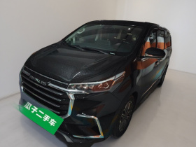 上汽大通MAXUS 大通G20 2020款 2.0T 汽油自动旗舰版