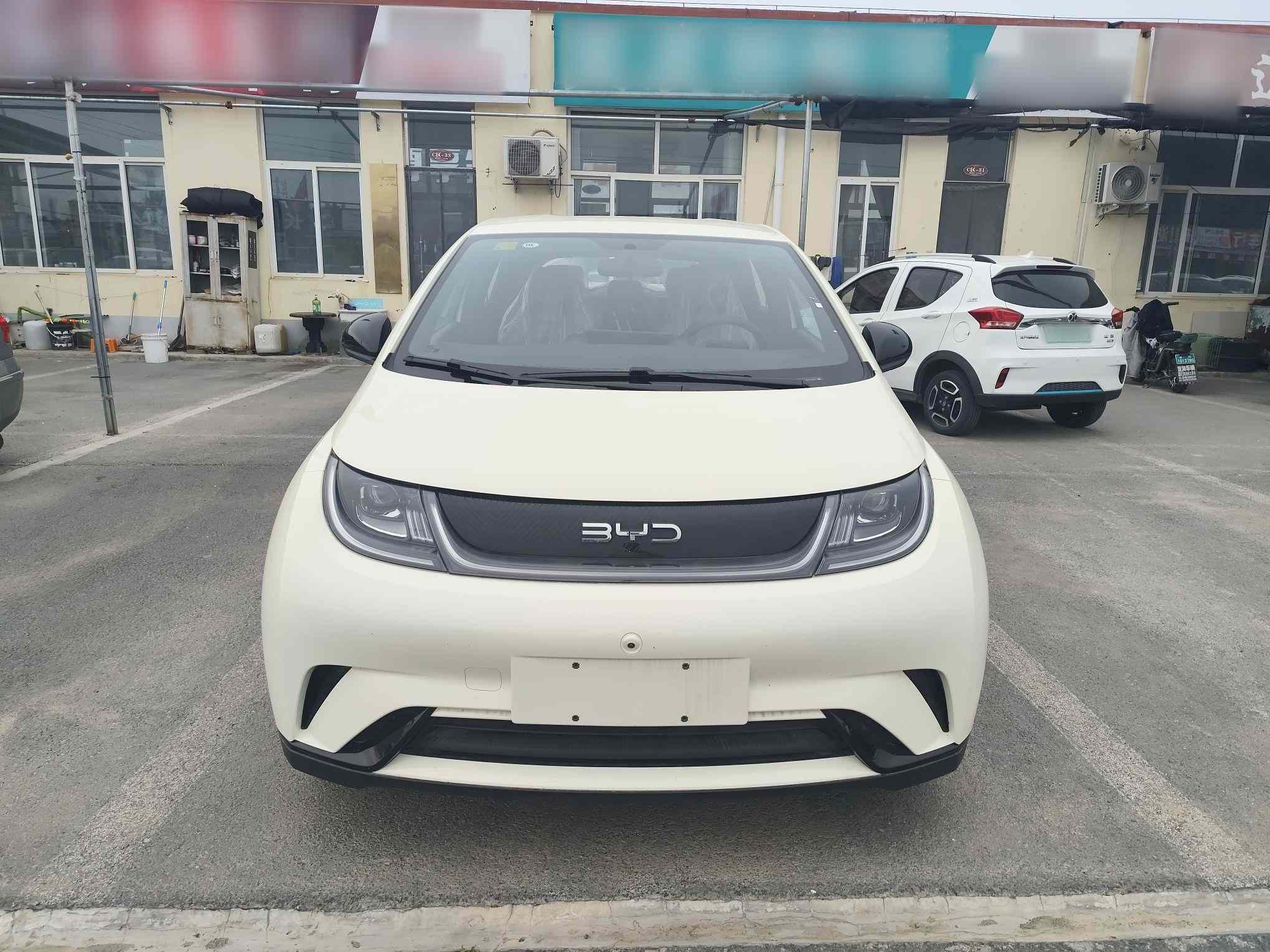 比亚迪 海豚 2025款 420km 自由版(1)