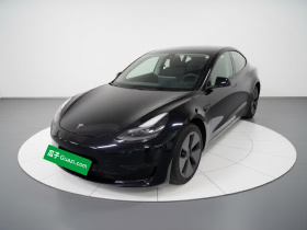 特斯拉 Model 3 2022款 后轮驱动版