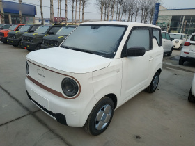 吉利银河 2024款 熊猫mini 200km 耐力熊