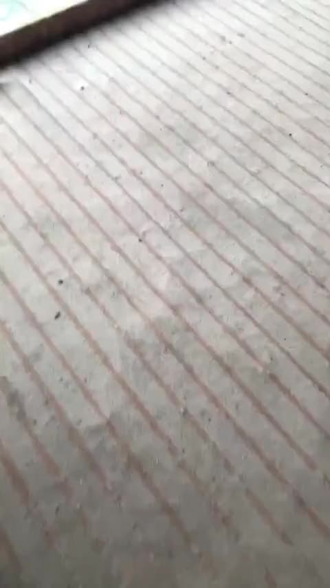 长安欧尚科赛3 2019款 1.5L 手动劲尚型讲解2