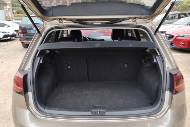 大众 高尔夫 2018款  230TSI 自动豪华型局部细节23