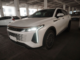 星途瑶光 2023款 400T 两驱优享飞鱼版