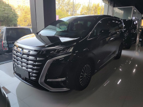 腾势D9 2024款 DM-i 980 四驱尊荣型