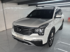 广汽传祺 传祺GS8 2017款 320T 两驱豪华智联版（七座）