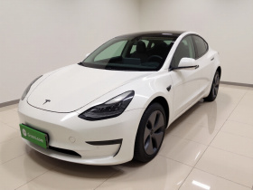 特斯拉 Model 3 2020款 改款 标准续航后驱升级版
