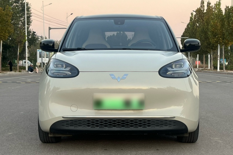 五菱汽车 五菱缤果 2023款 333km 灵犀互联款车身外观6008