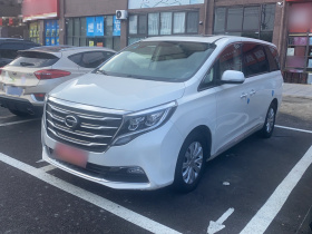 广汽传祺 传祺M8 2018款 320T 尊享版