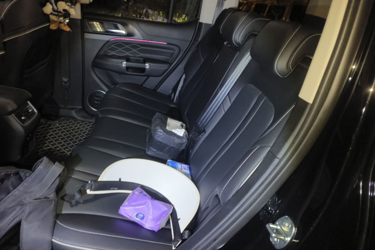 坦克300 2024款 2.0T 征服者中控内饰21