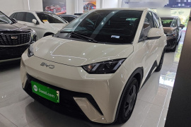 比亚迪 海鸥 2025款 305km 活力版