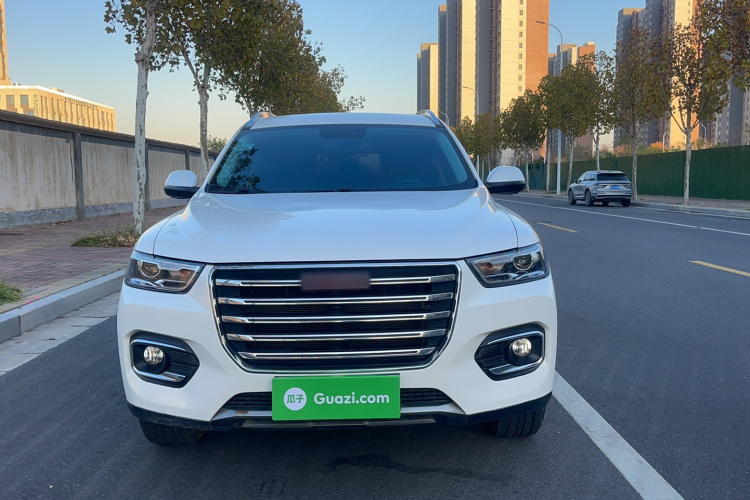 哈弗H6 2019款 红标 2.0GDIT 自动冠军版车身外观6001