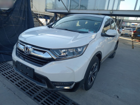 本田CR-V 2019款 240TURBO CVT两驱风尚版 国V