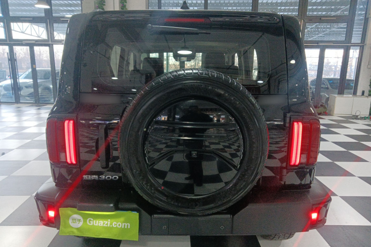 坦克300 2024款 2.0T 挑战者车身外观6