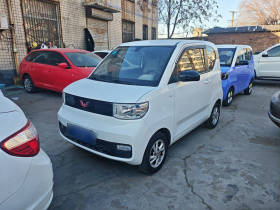 五菱汽车 宏光MINIEV 2020款 自在款 三元锂