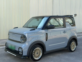 吉利银河 2024款 200km 熊猫卡丁