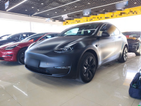特斯拉 Model Y 2023款 长续航全轮驱动版