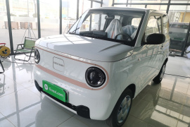 吉利银河 2024款 熊猫mini 200km 耐力熊
